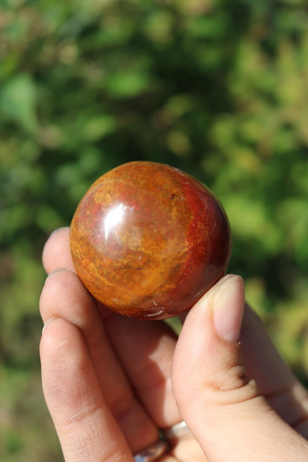Polished Red Flame Jasper Gallets