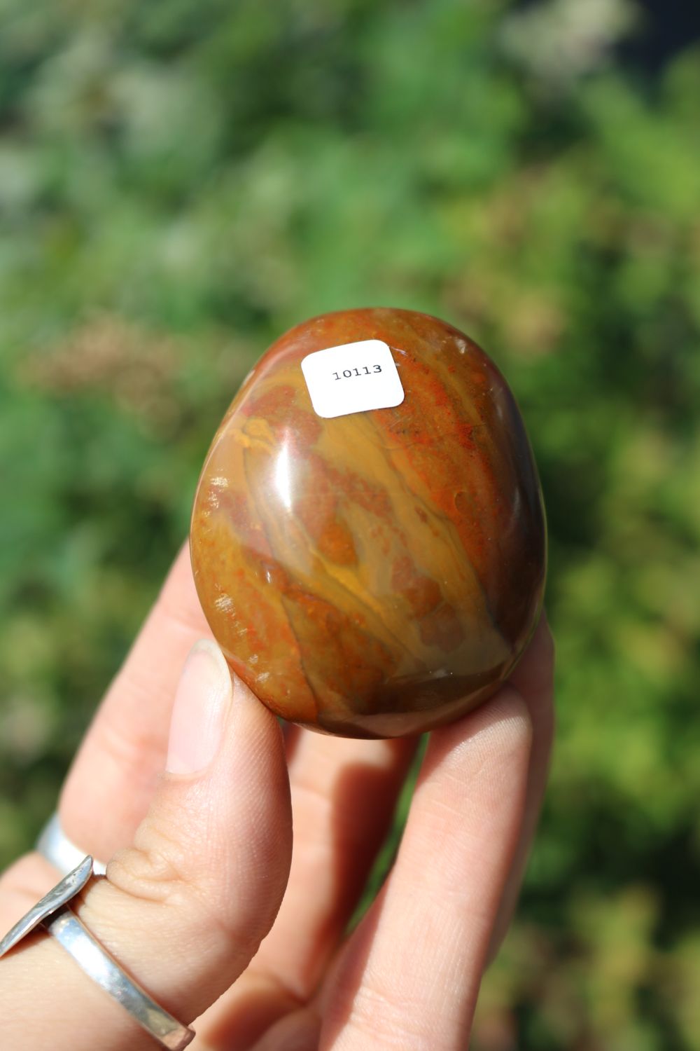 Polished Red Flame Jasper Gallets