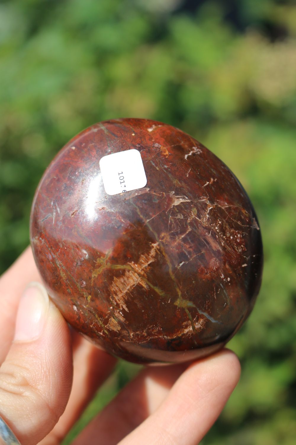 Polished Red Flame Jasper Gallets
