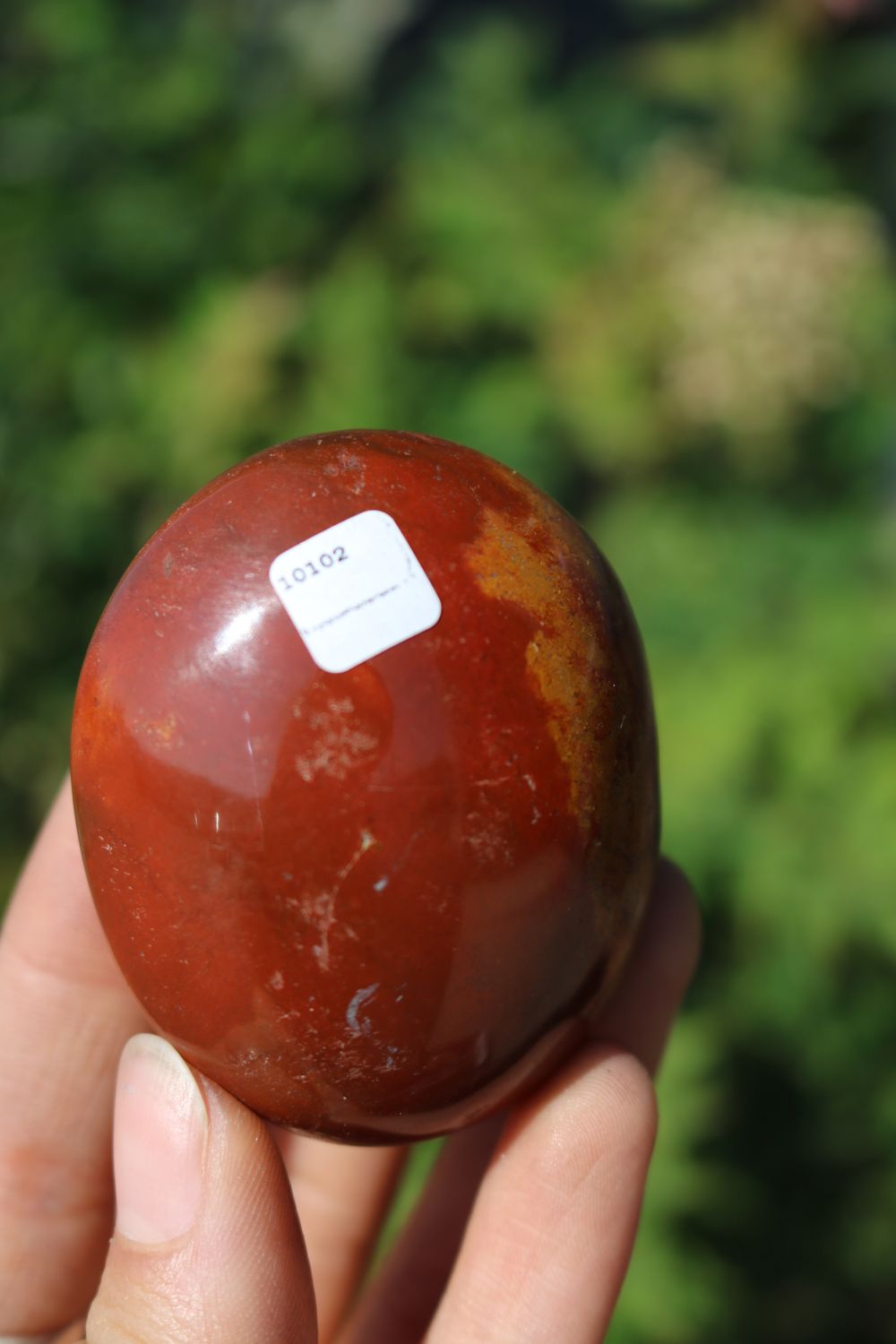 Polished Red Flame Jasper Gallets