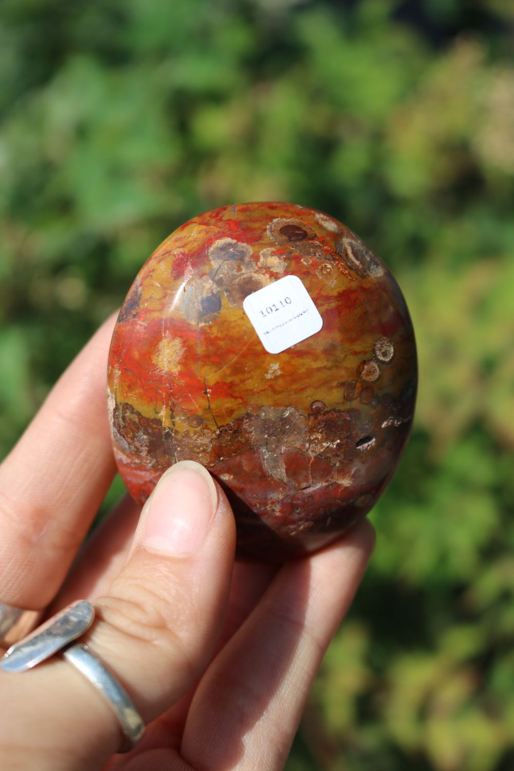 Polished Red Flame Jasper Gallets