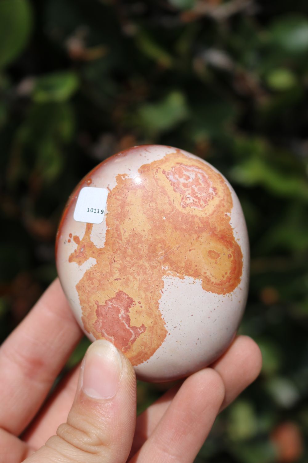 Polished Polychrome Jasper and Picasso Jasper Gallet