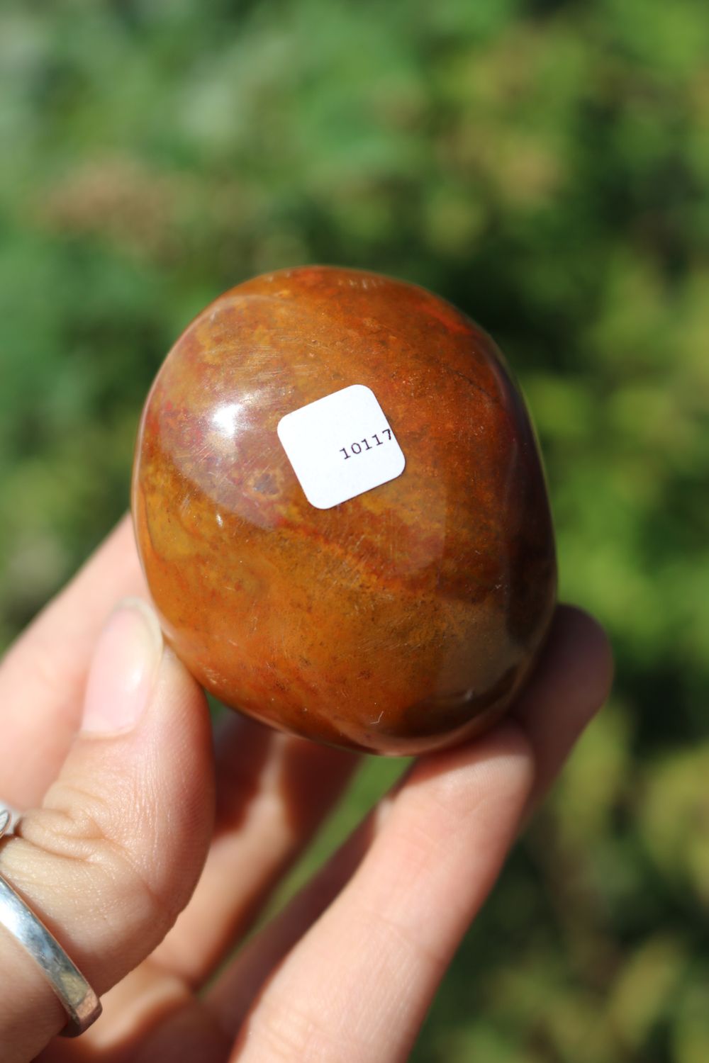 Polished Red Flame Jasper Gallets