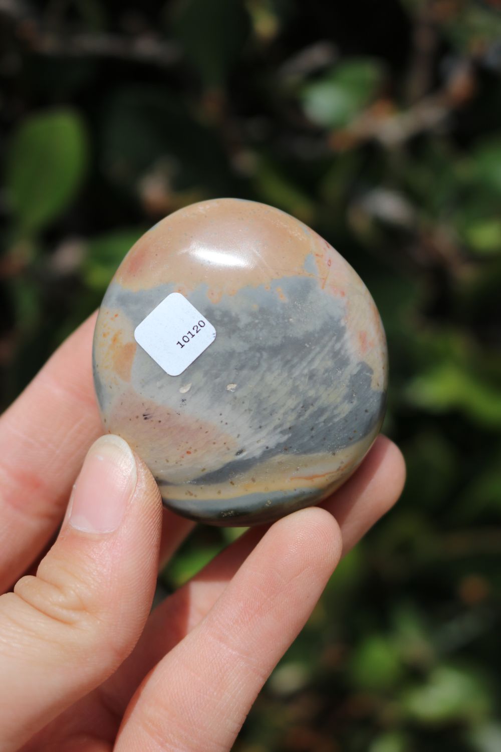 Polished Polychrome Jasper and Picasso Jasper Gallet