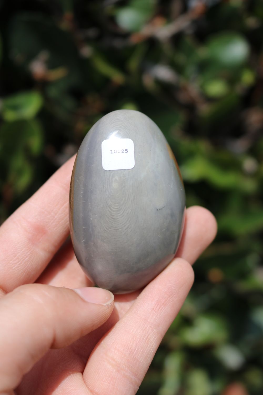 Polished Polychrome Jasper and Picasso Jasper Gallet