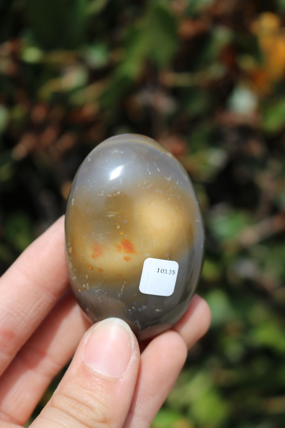 Polished Polychrome Jasper and Picasso Jasper Gallet