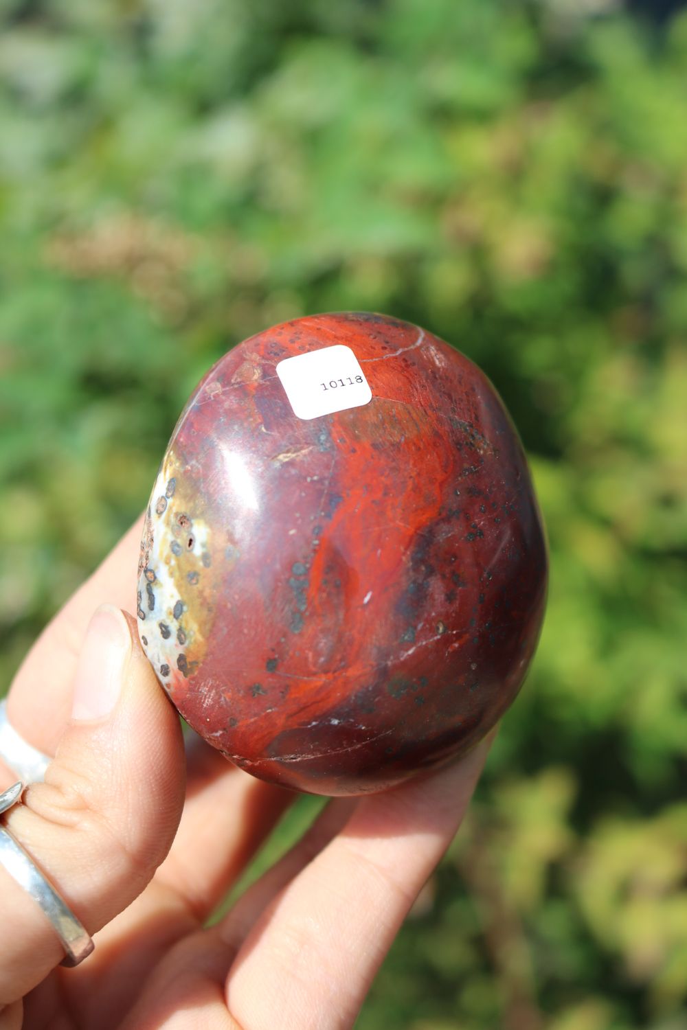Polished Red Flame Jasper Gallets