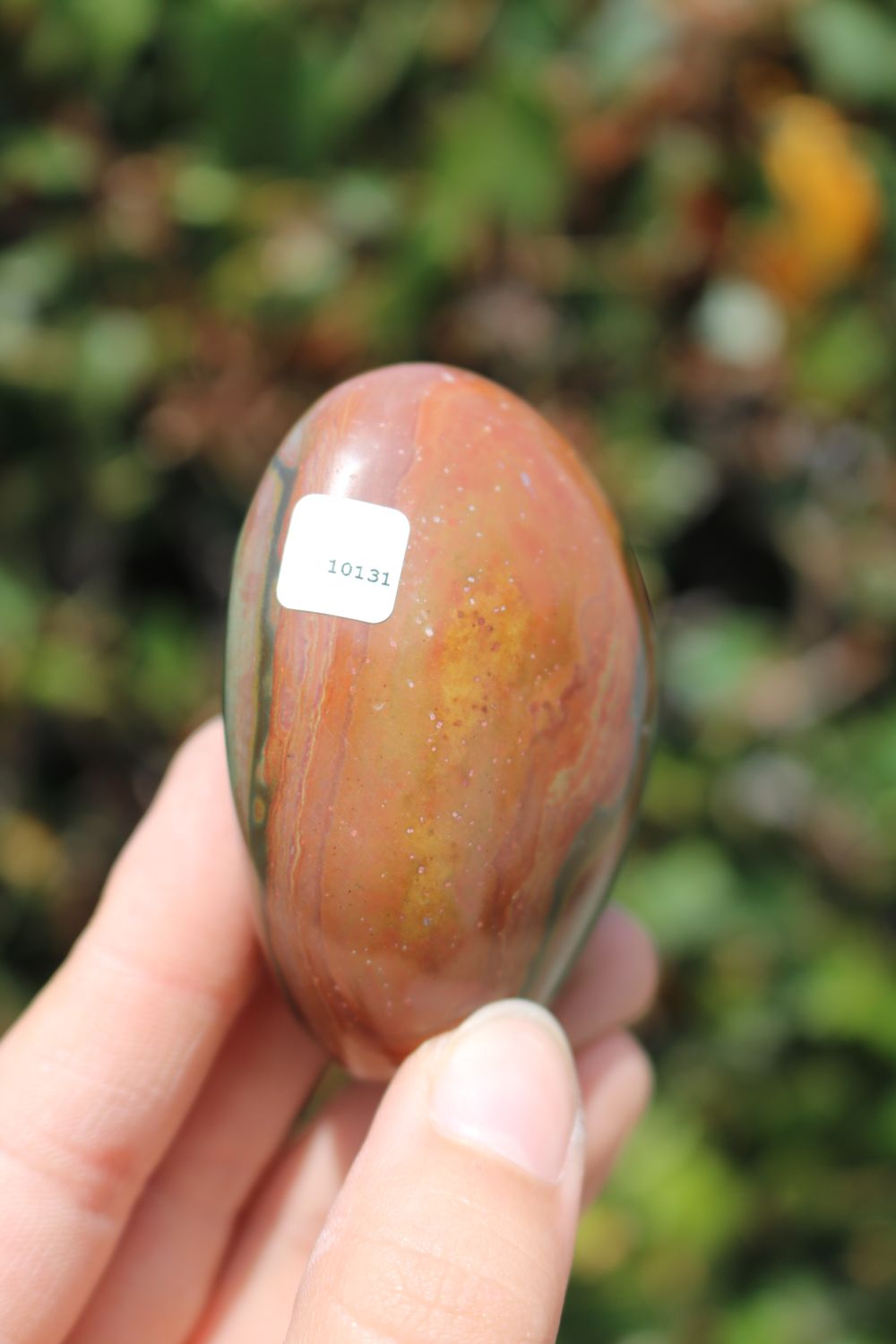 Polished Polychrome Jasper and Picasso Jasper Gallet