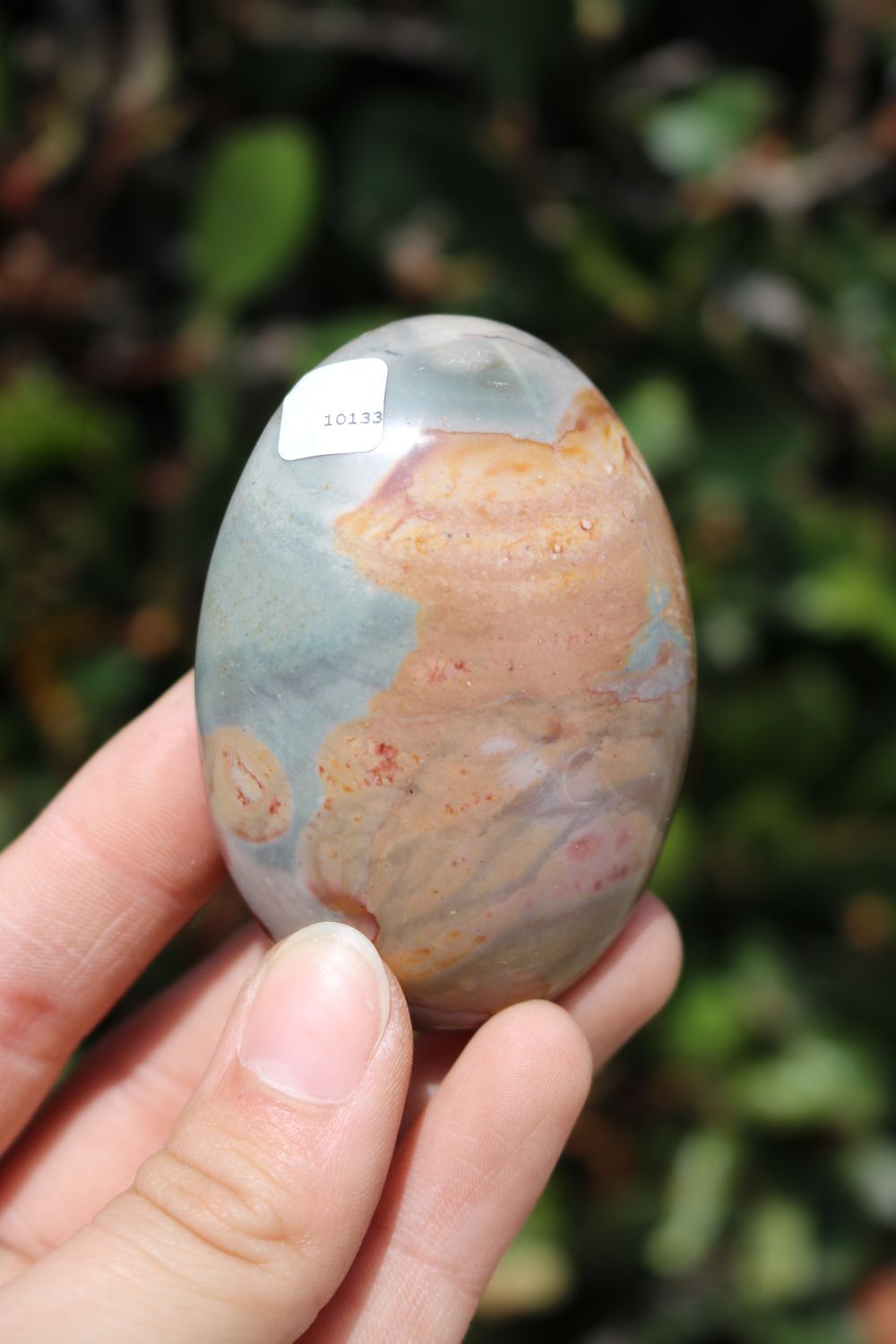 Polished Polychrome Jasper and Picasso Jasper Gallet
