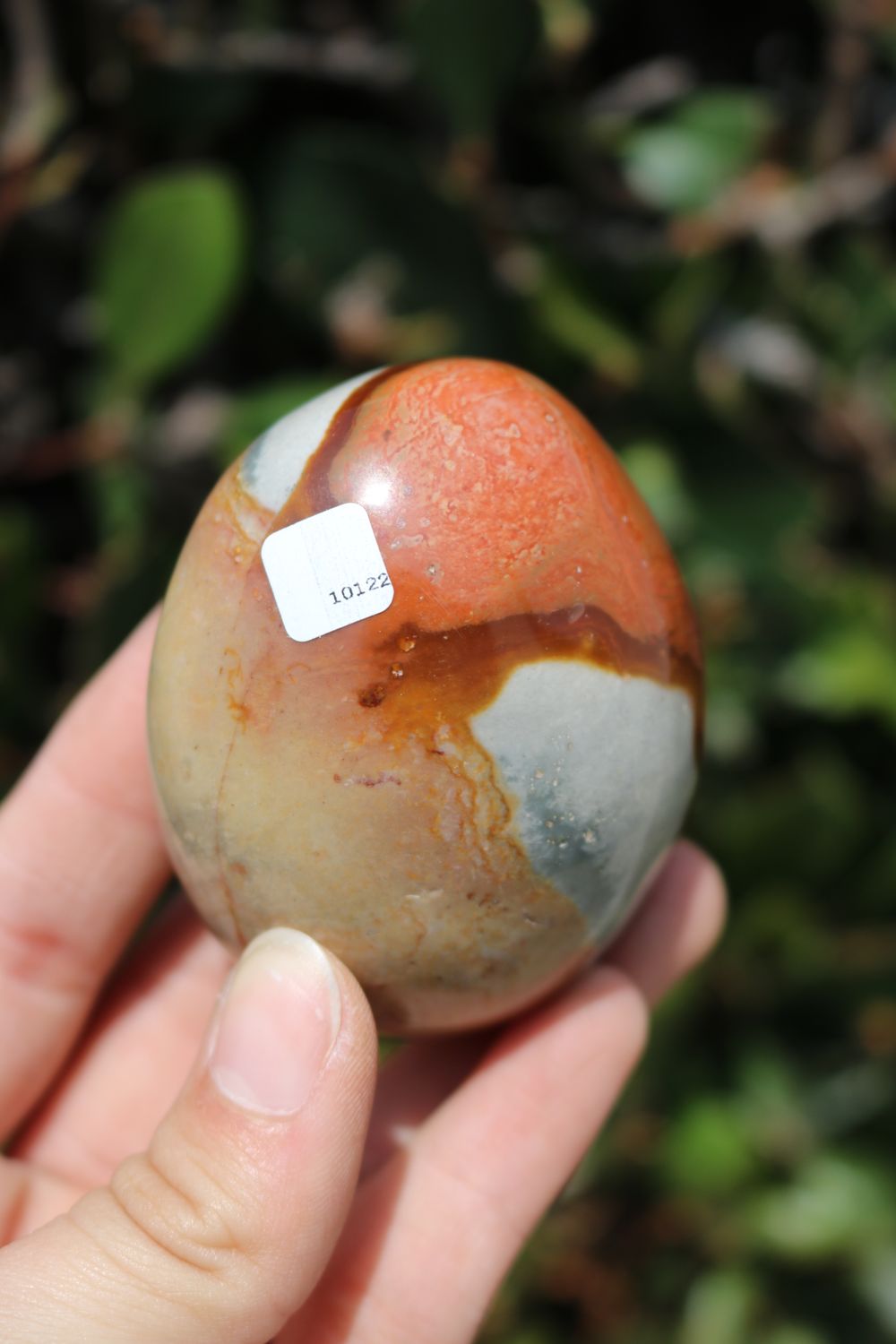 Polished Polychrome Jasper and Picasso Jasper Gallet