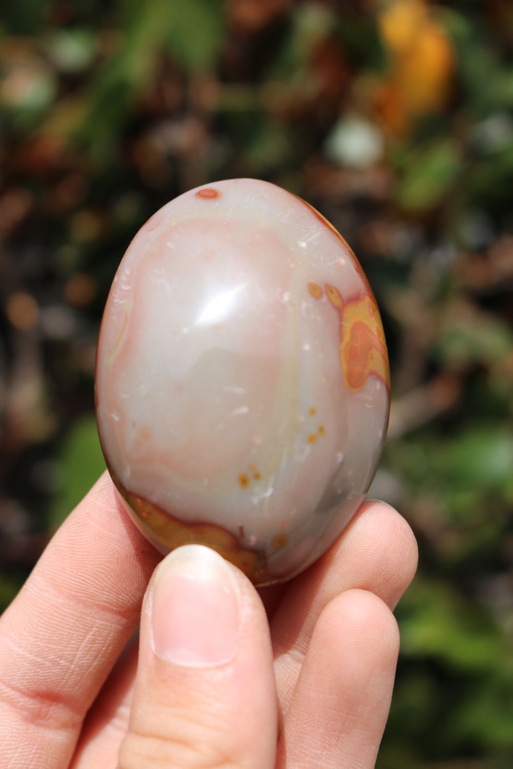 Polished Polychrome Jasper and Picasso Jasper Gallet