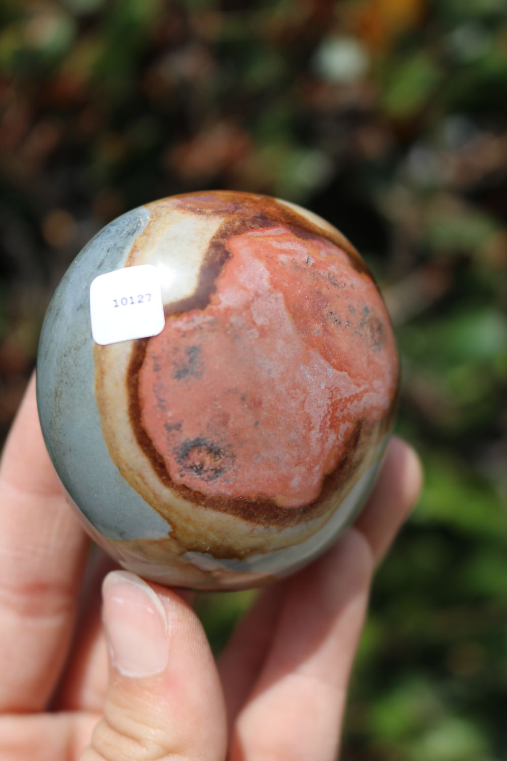 Polished Polychrome Jasper and Picasso Jasper Gallet