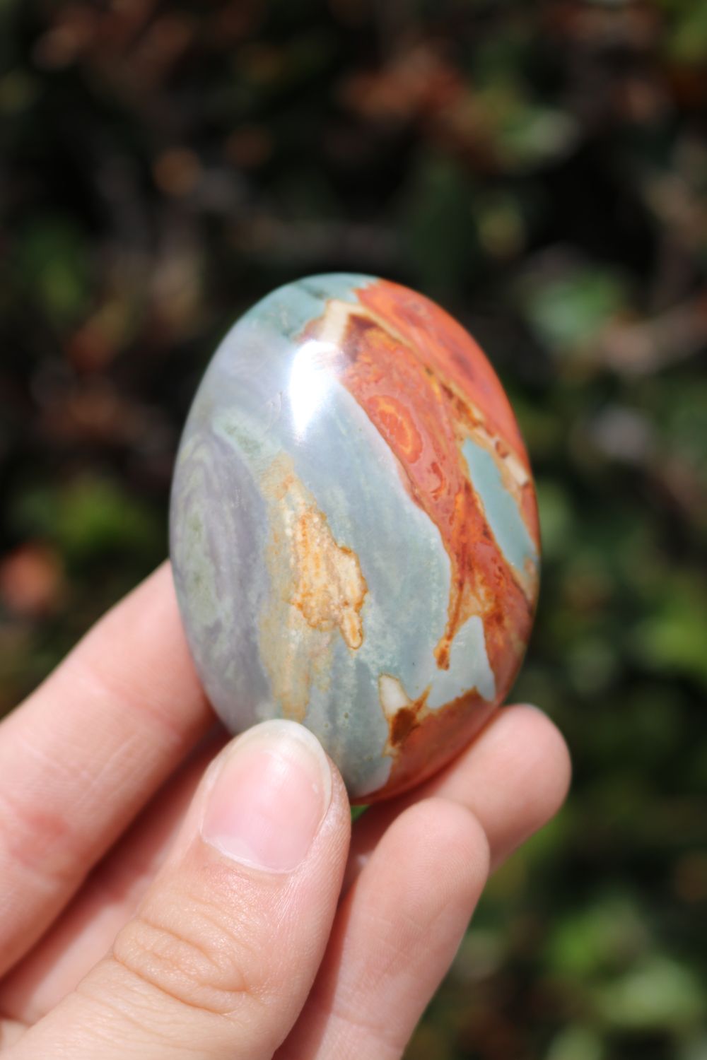 Polished Polychrome Jasper and Picasso Jasper Gallet