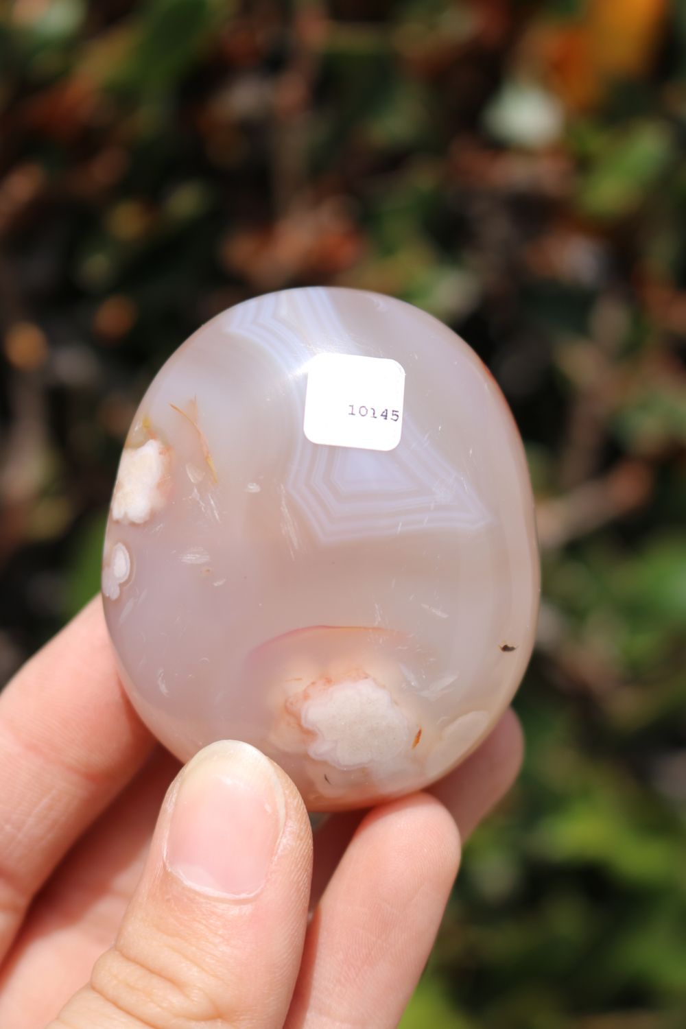 Polished Coral Flower Agate Palmstones