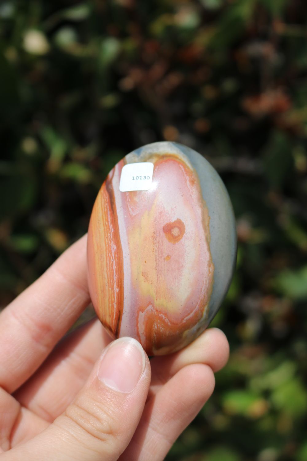 Polished Polychrome Jasper and Picasso Jasper Gallet