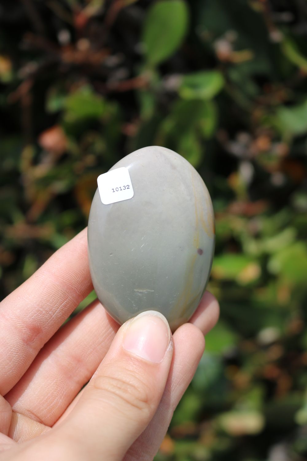 Polished Polychrome Jasper and Picasso Jasper Gallet