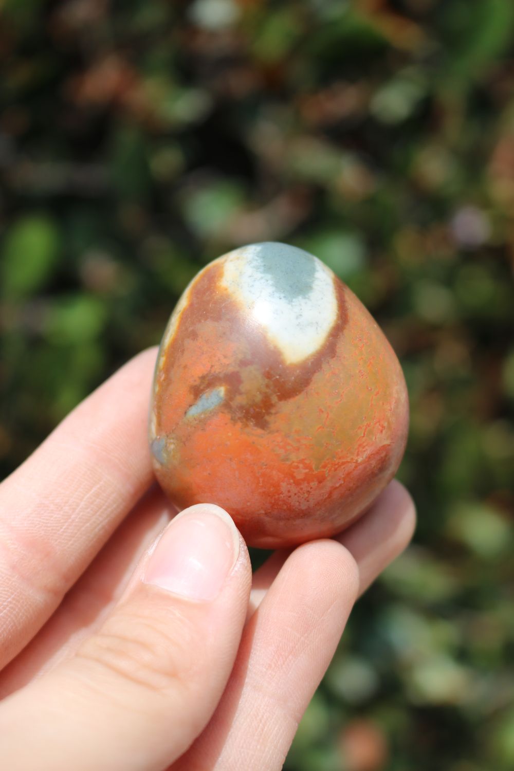 Polished Polychrome Jasper and Picasso Jasper Gallet