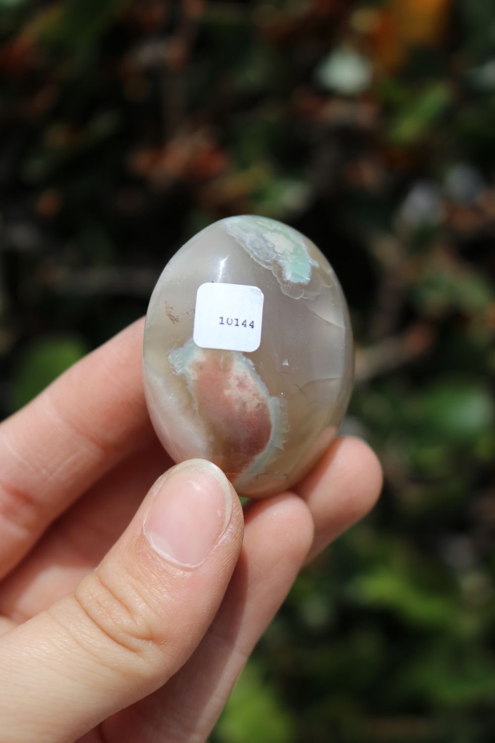 Polished Coral Flower Agate Palmstones