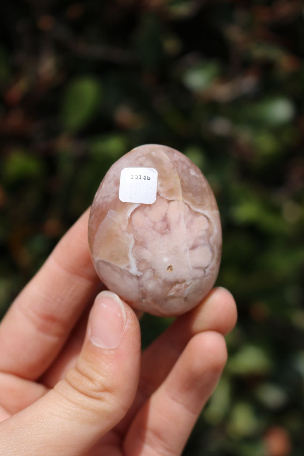 Polished Coral Flower Agate Palmstones