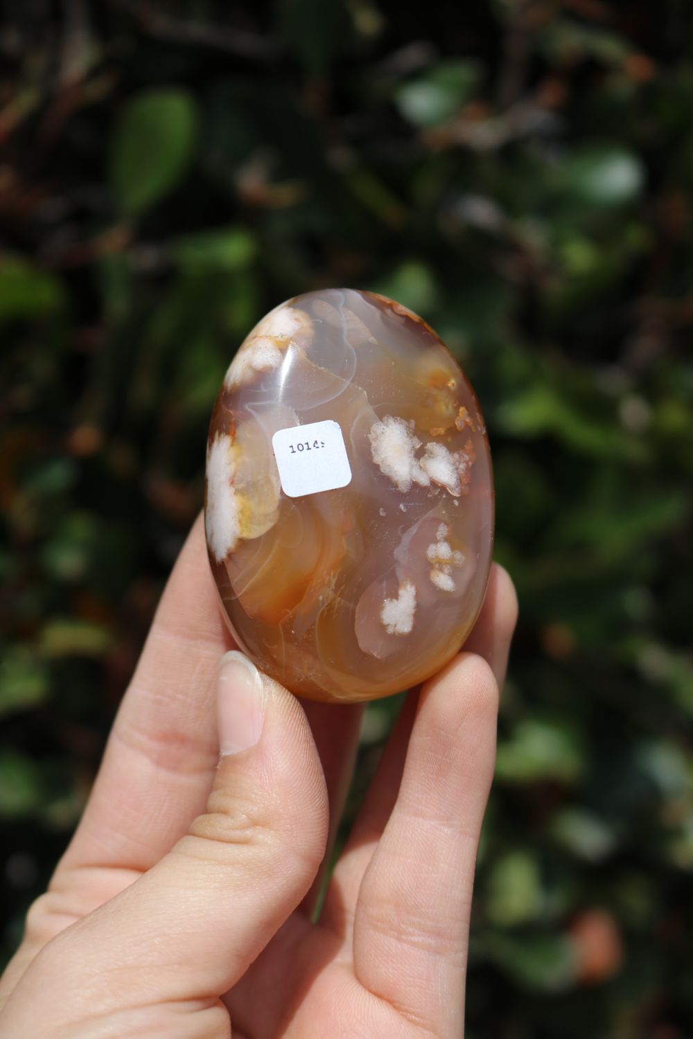 Polished Coral Flower Agate Palmstones