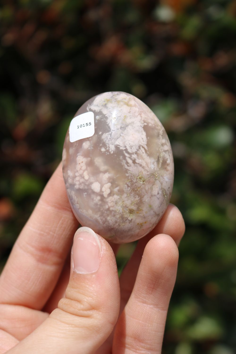 Polished Coral Flower Agate Palmstones