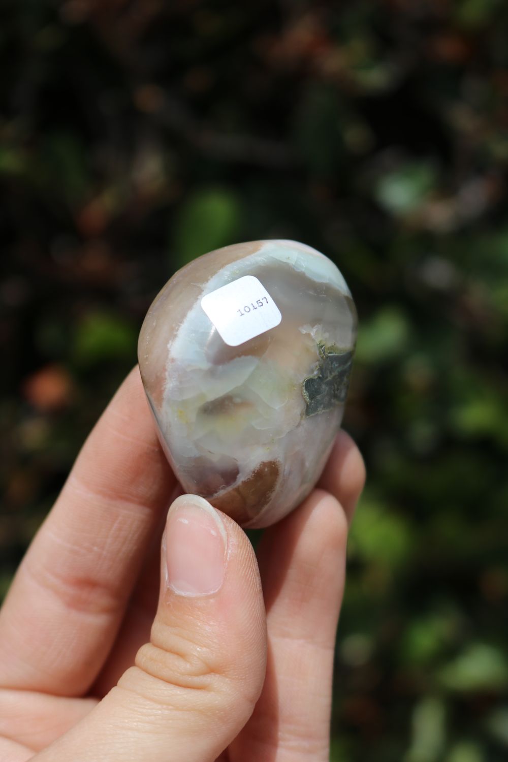 Polished Coral Flower Agate Palmstones