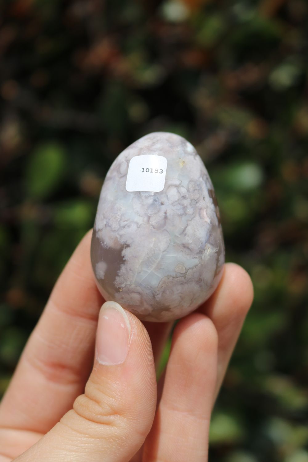Polished Coral Flower Agate Palmstones