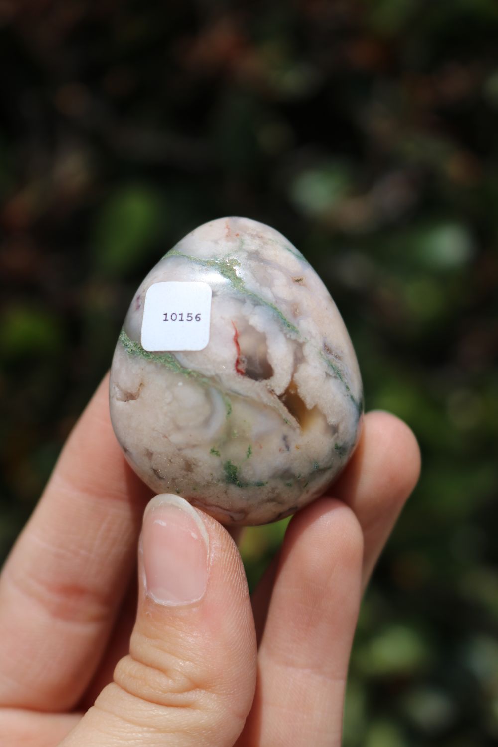 Polished Coral Flower Agate Palmstones