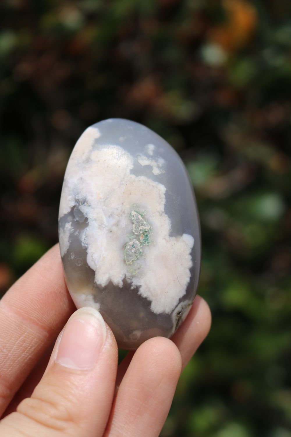 Polished Coral Flower Agate Palmstones