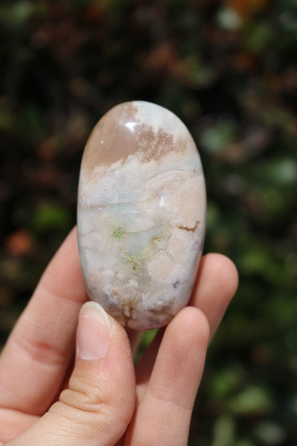 Polished Coral Flower Agate Palmstones
