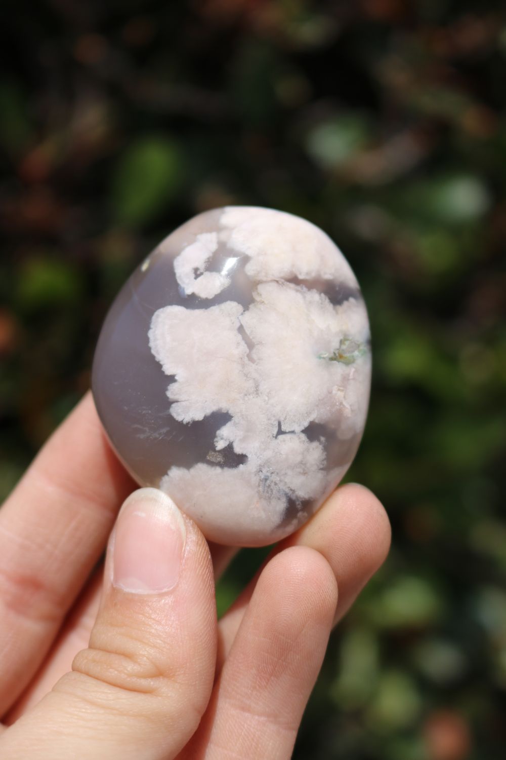 Polished Coral Flower Agate Palmstones