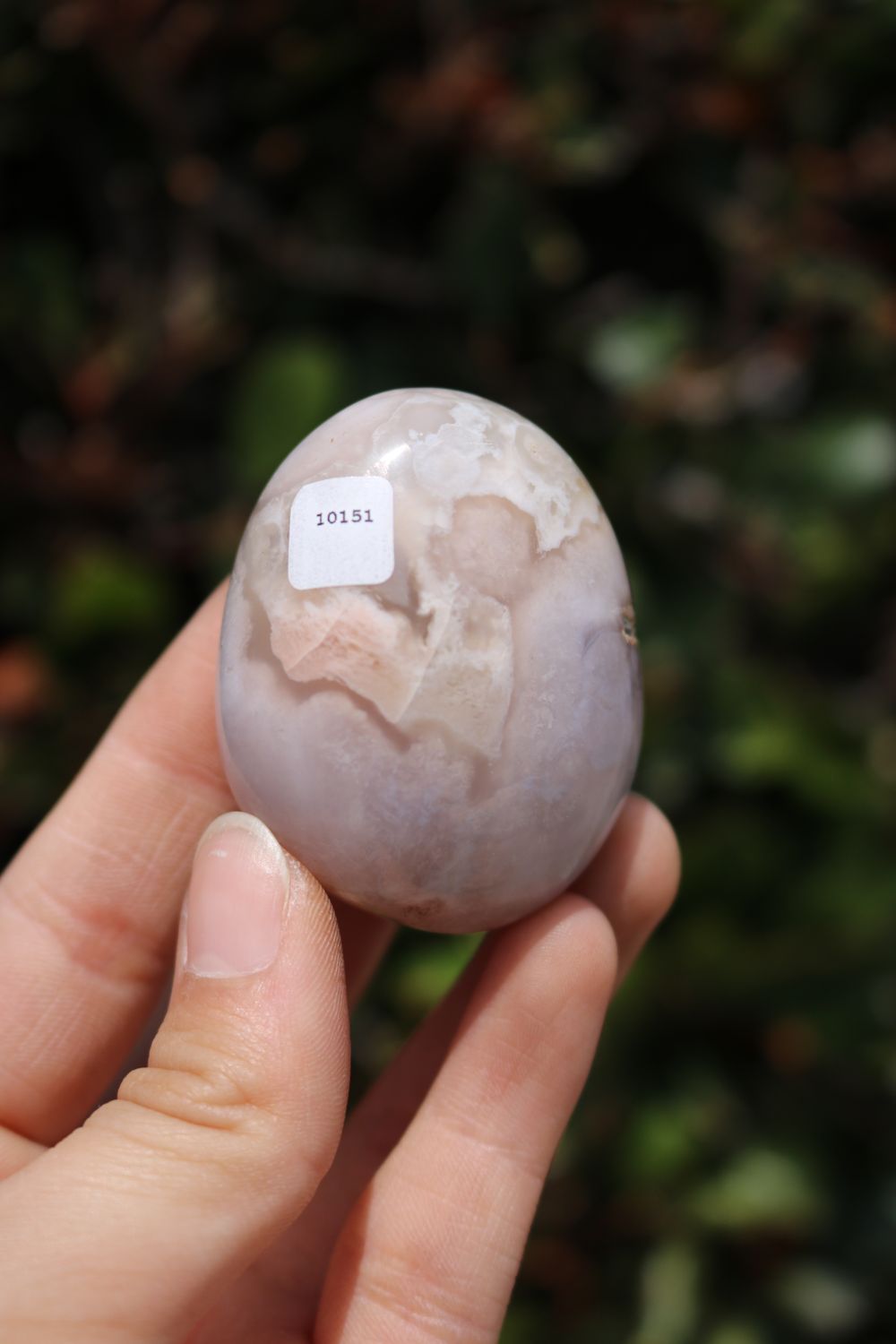 Polished Coral Flower Agate Palmstones