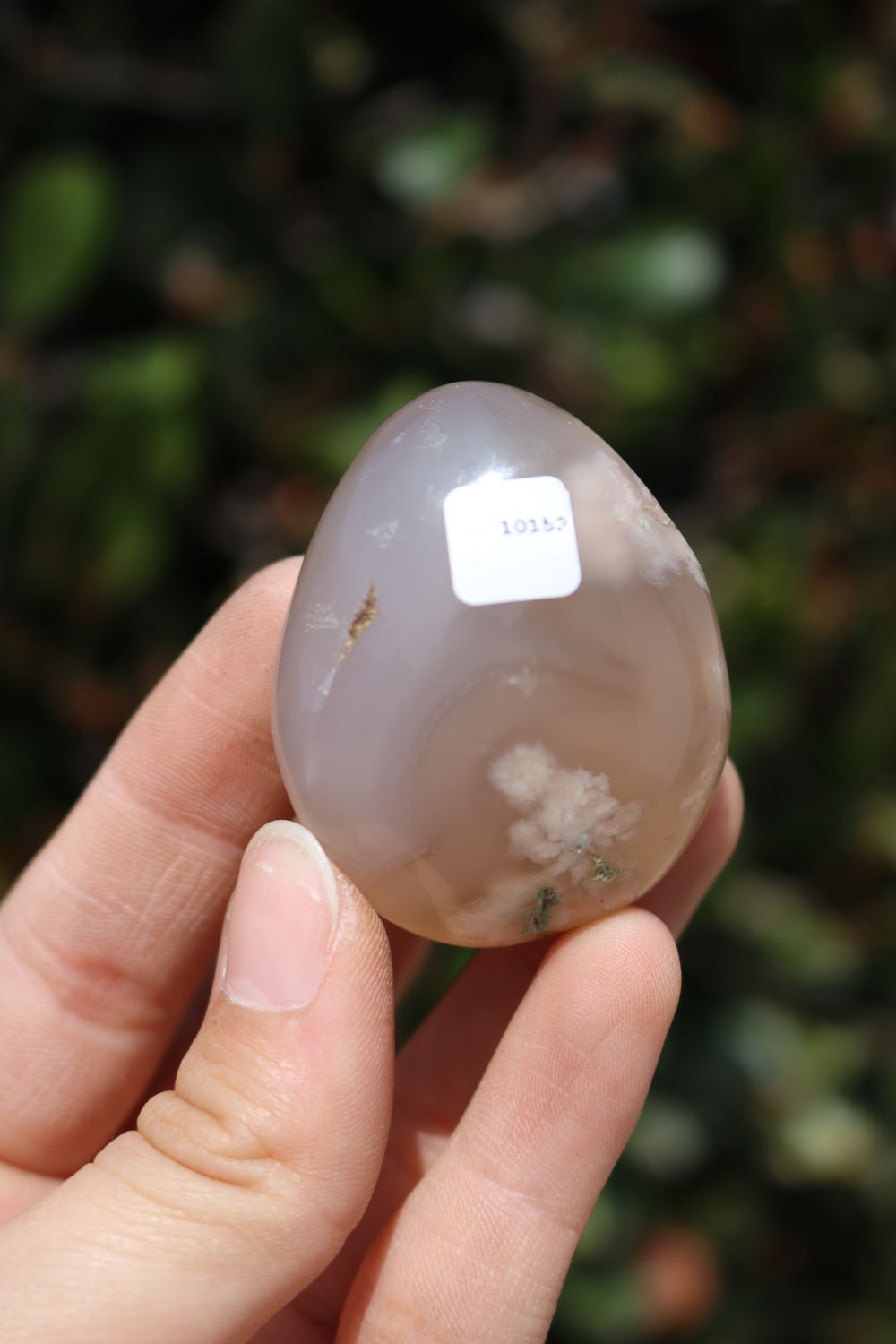 Polished Coral Flower Agate Palmstones