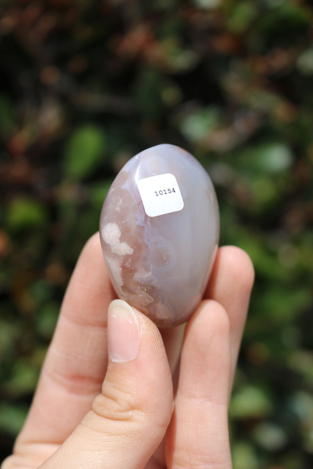 Polished Coral Flower Agate Palmstones