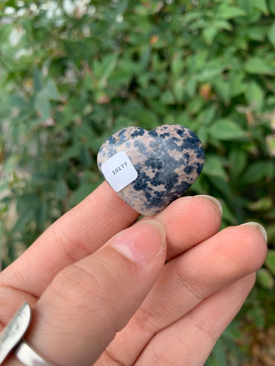 Polished Rare Dumortierite Hearts