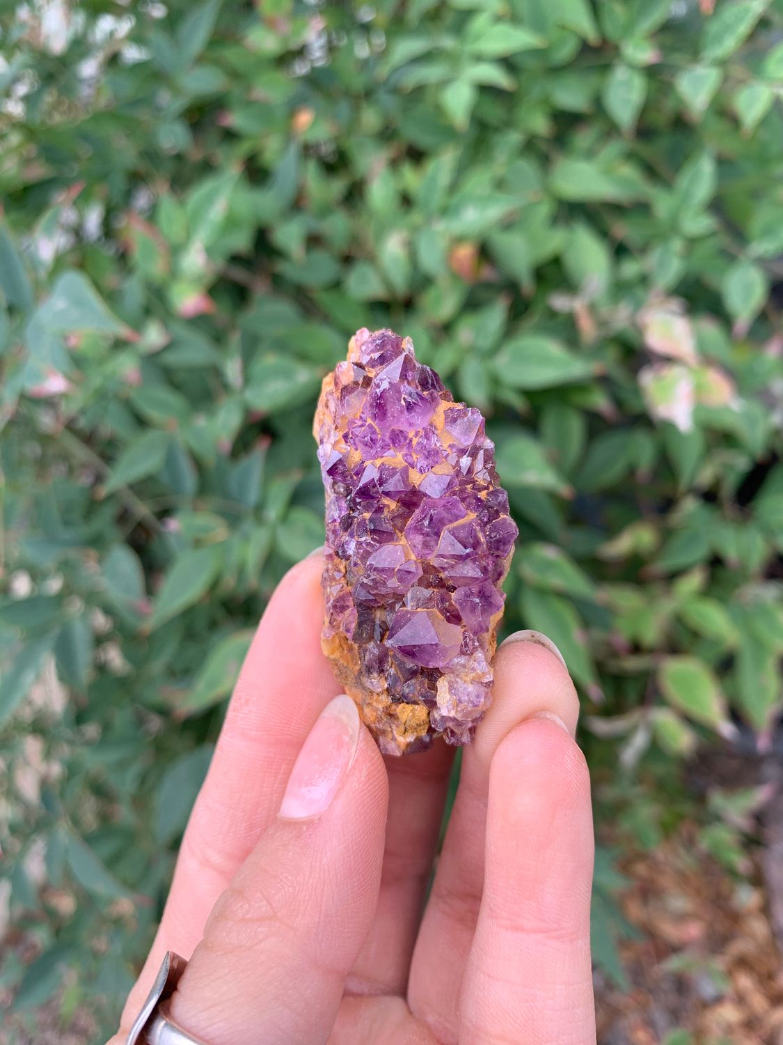 Natural Small Dark Amethyst Clusters