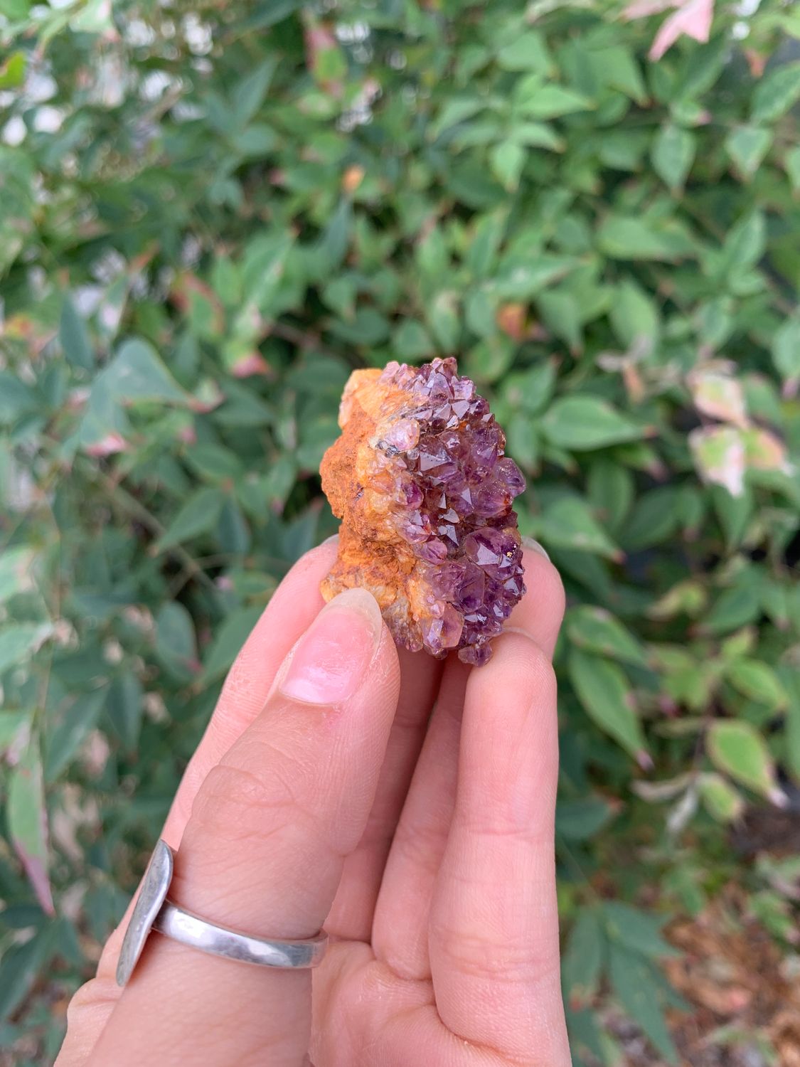 Natural Small Dark Amethyst Clusters