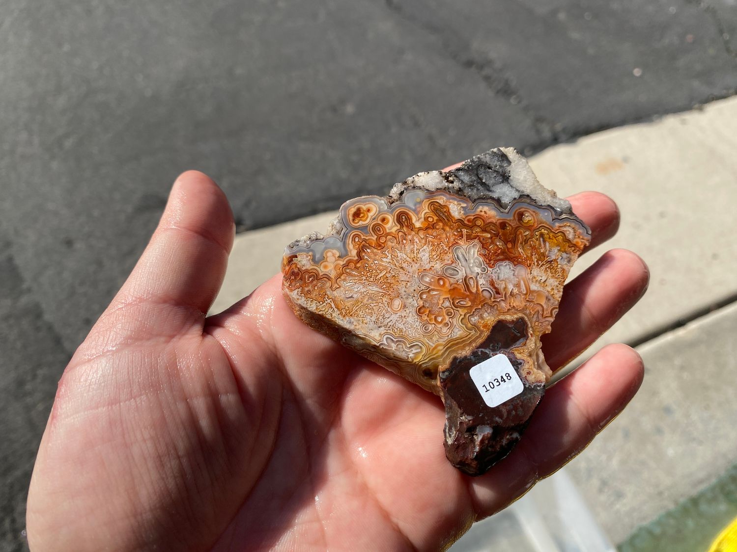 Crazy Lace Agate Slab