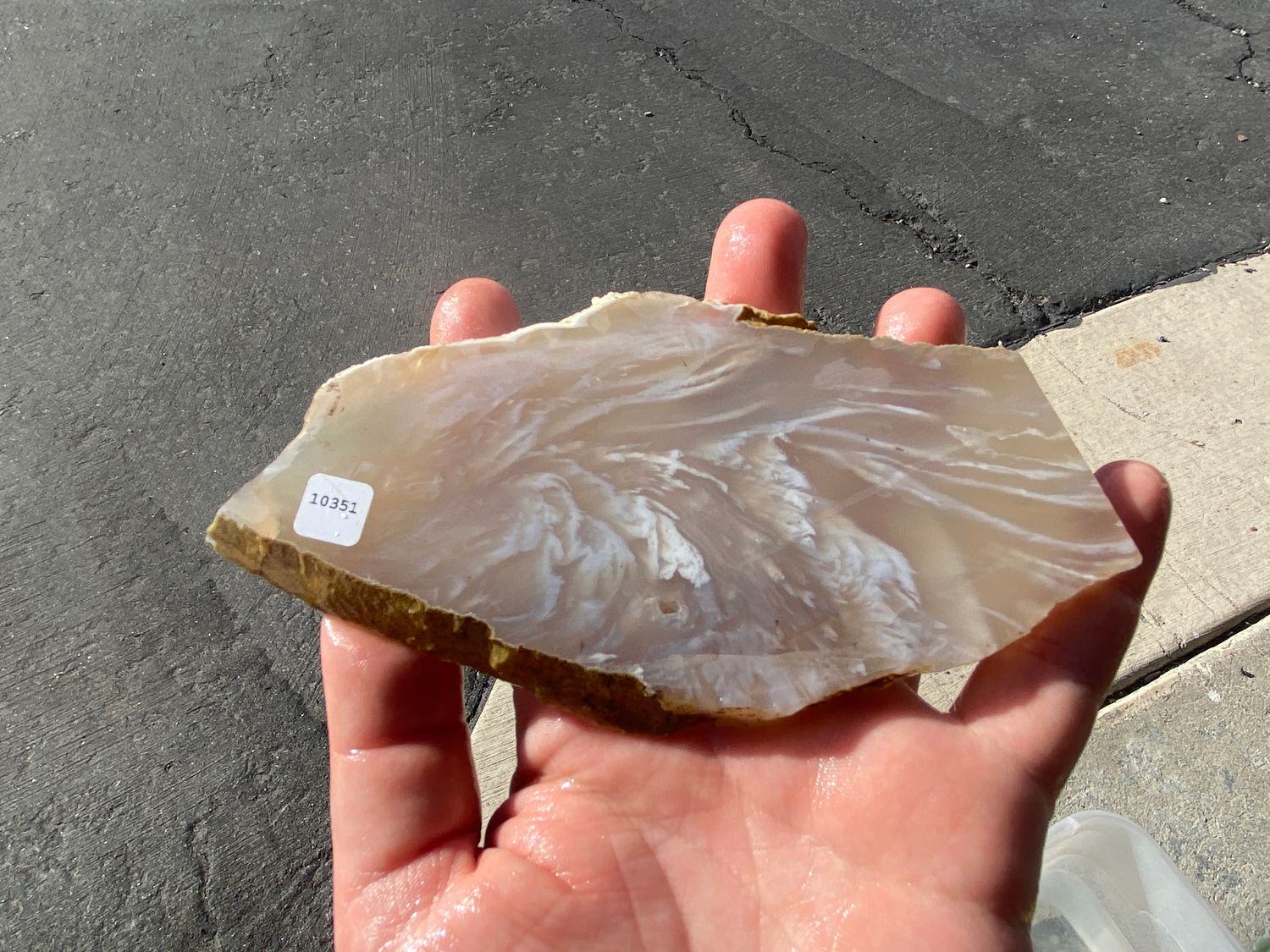 Angel Wing Agate Slab