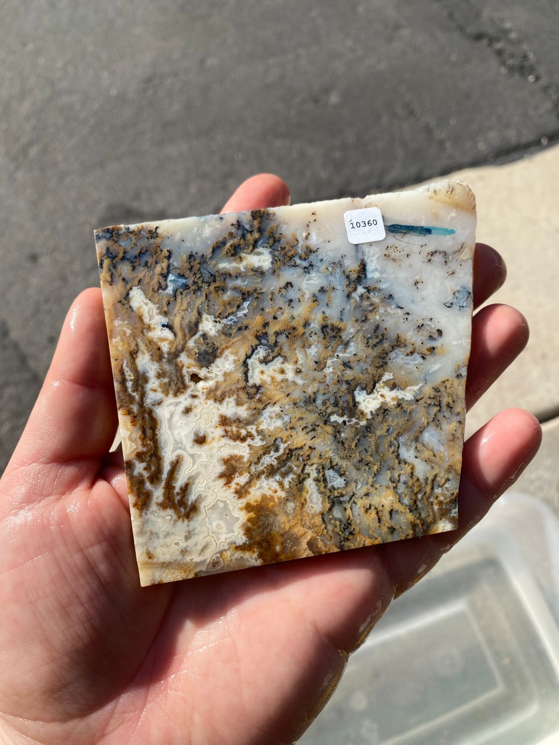 Sheep Creek Plume Agate Slab