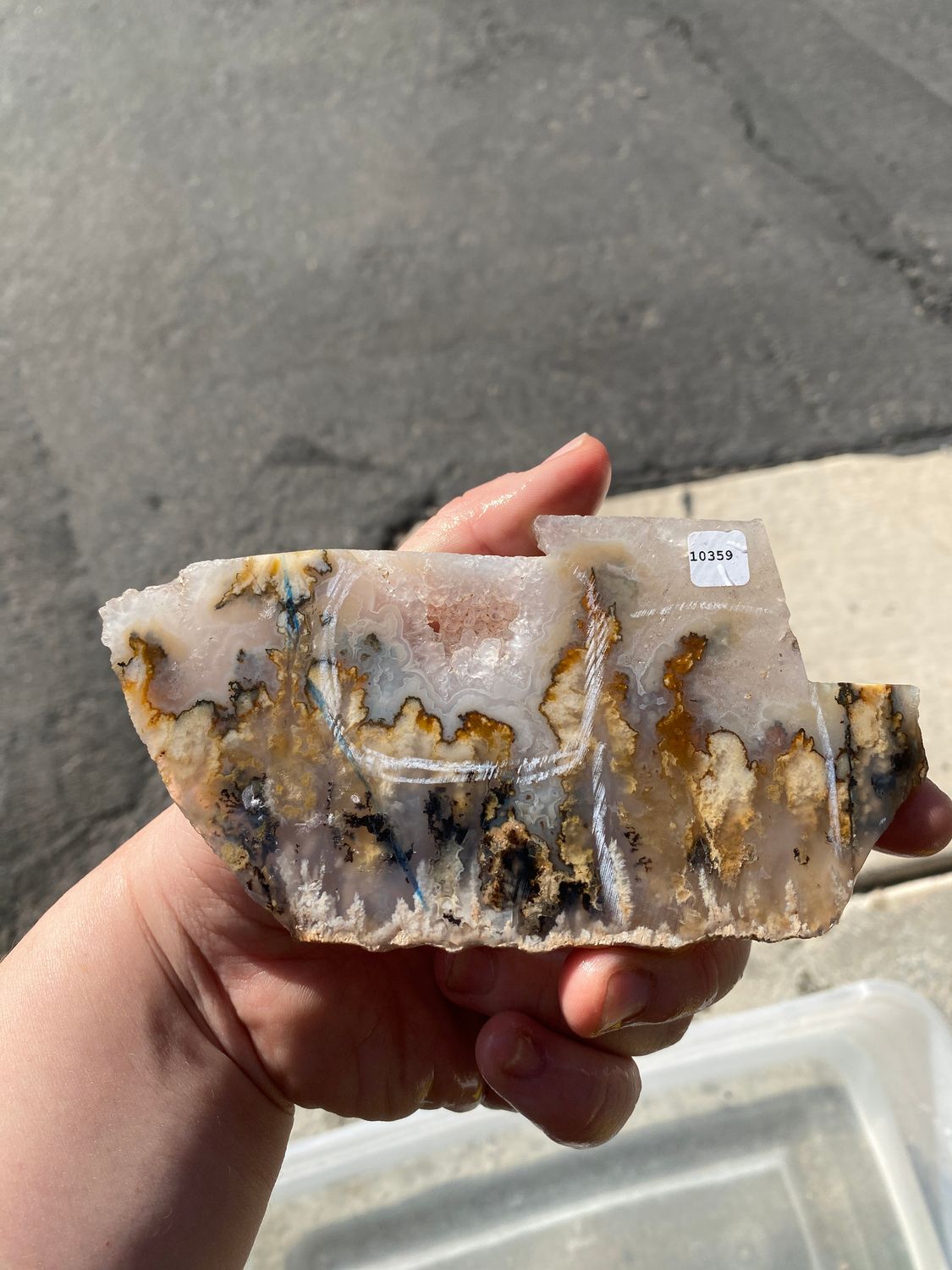 Graveyard Point Plume Agate Slab