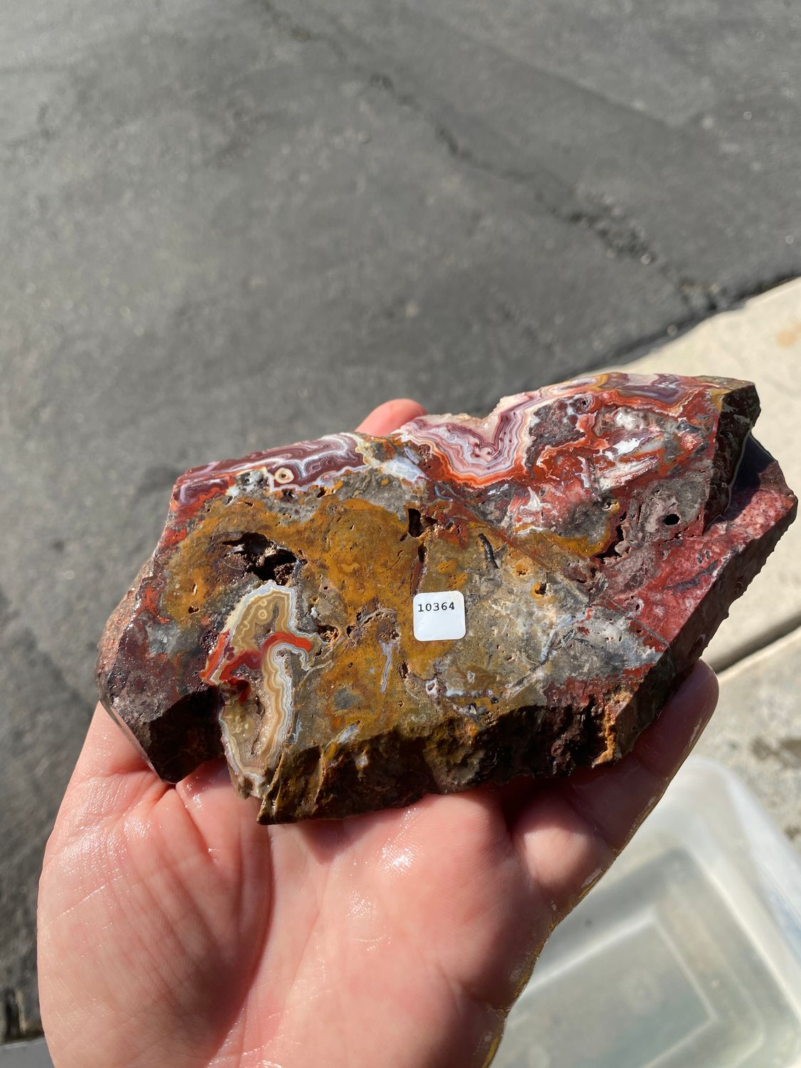 Crazy Lace Agate Slab