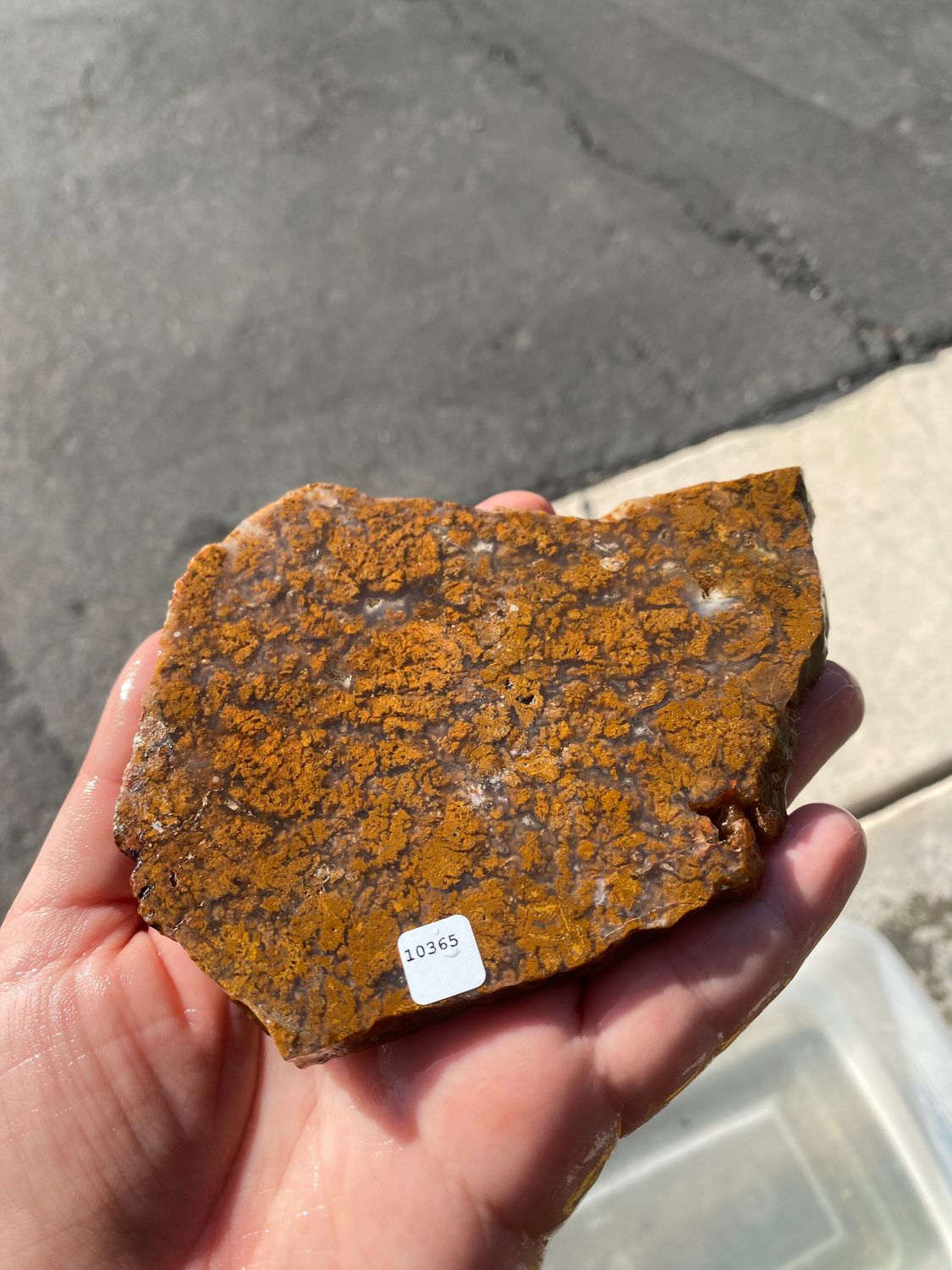 Moss Agate