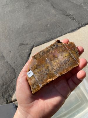 Sagenite Agate Slab
