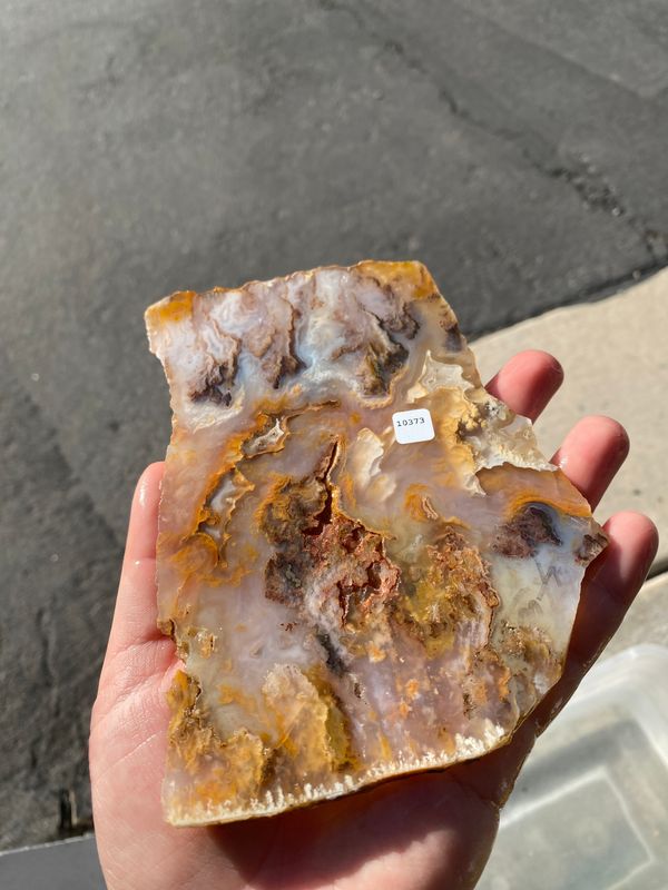 Graveyard Point Plume Agate Slab