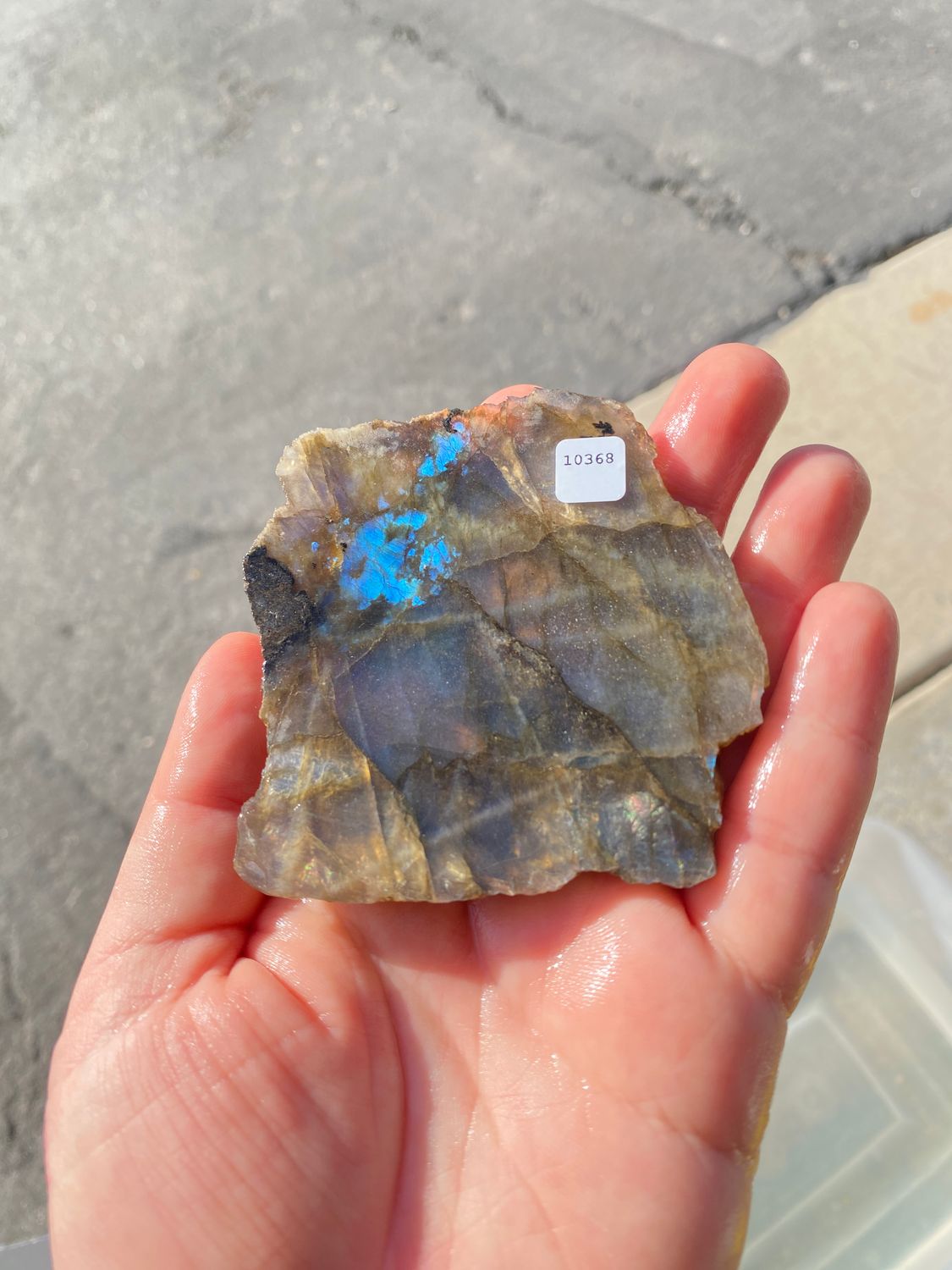 Labradonite Slab
