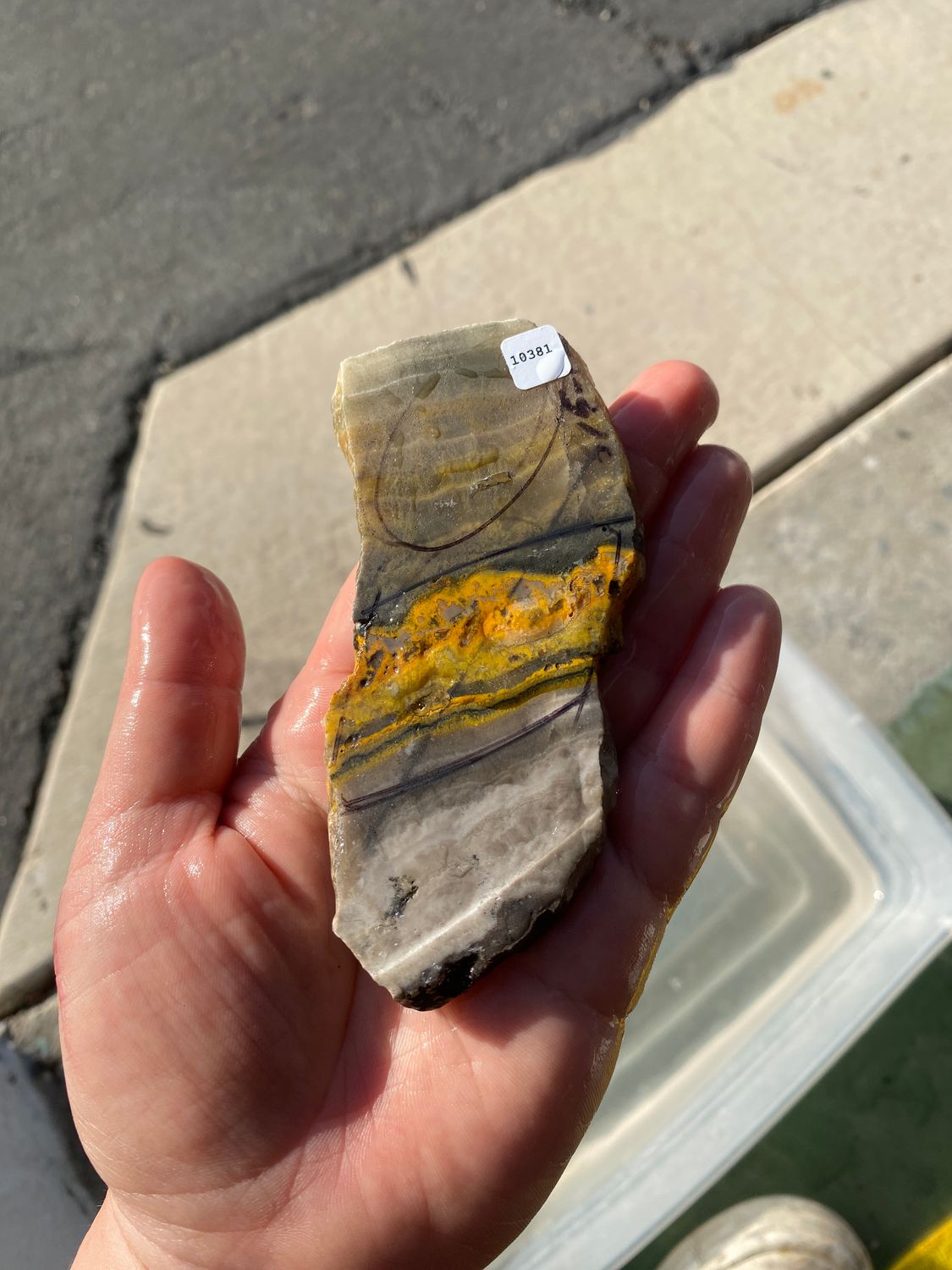 Bumblebee Jasper Slab