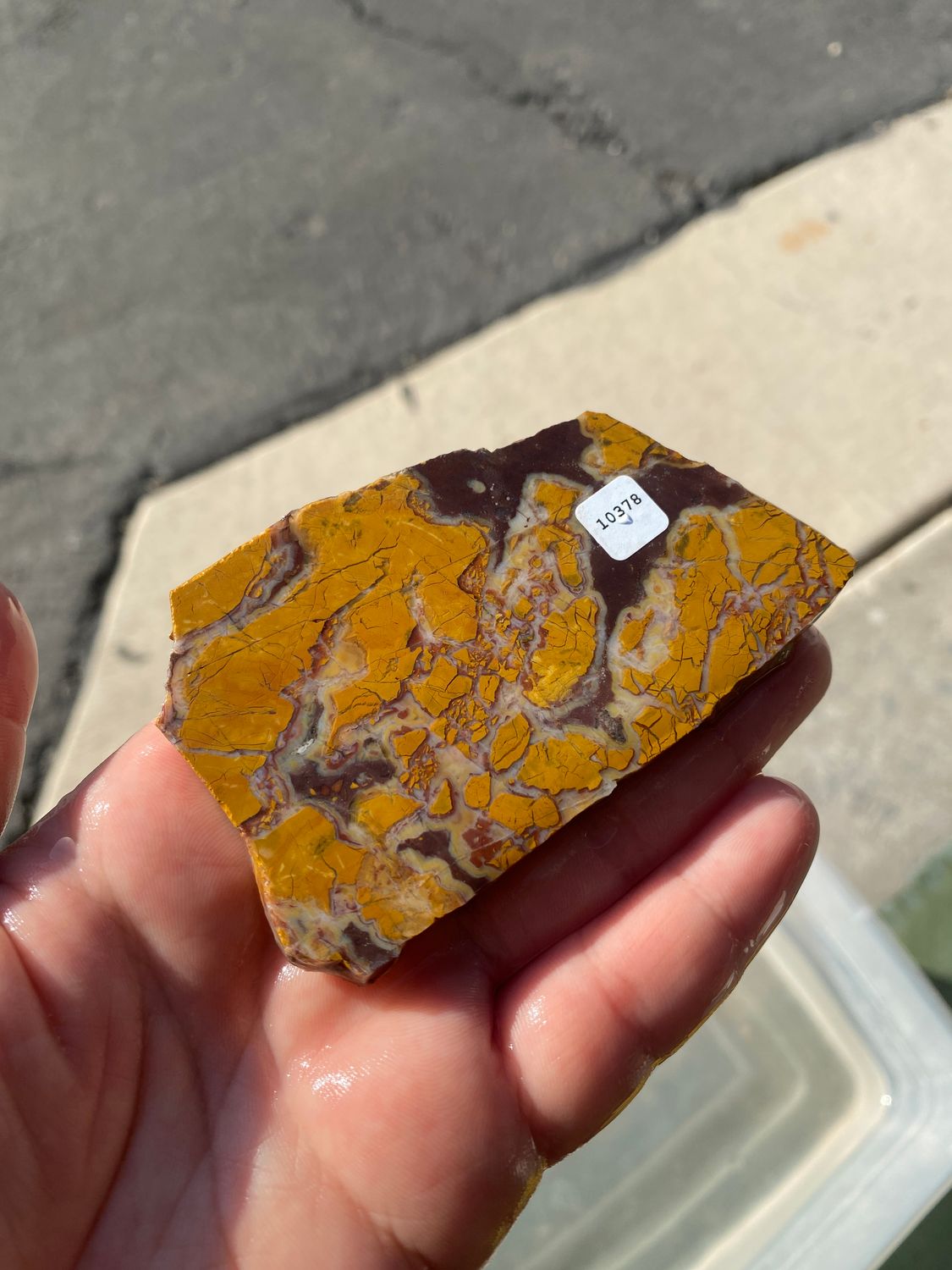 Stony Creek Jasper Agate Slab