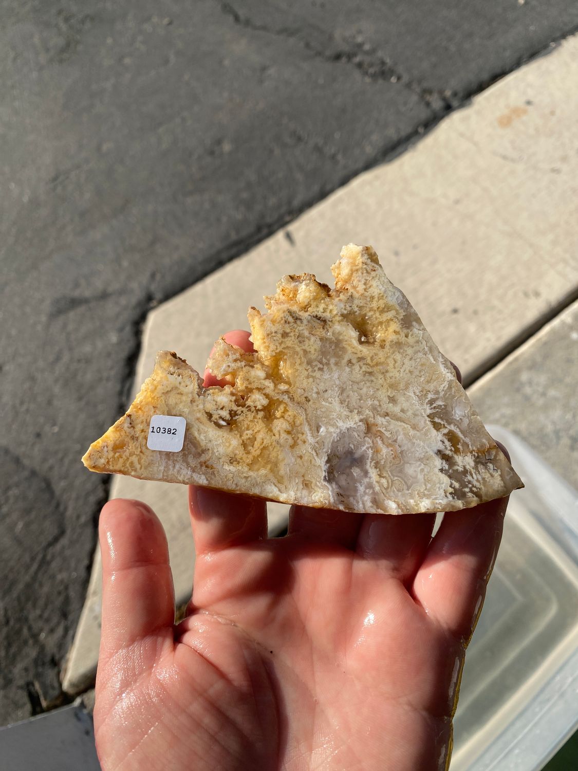 Feather Ridge Plume Agate Slab