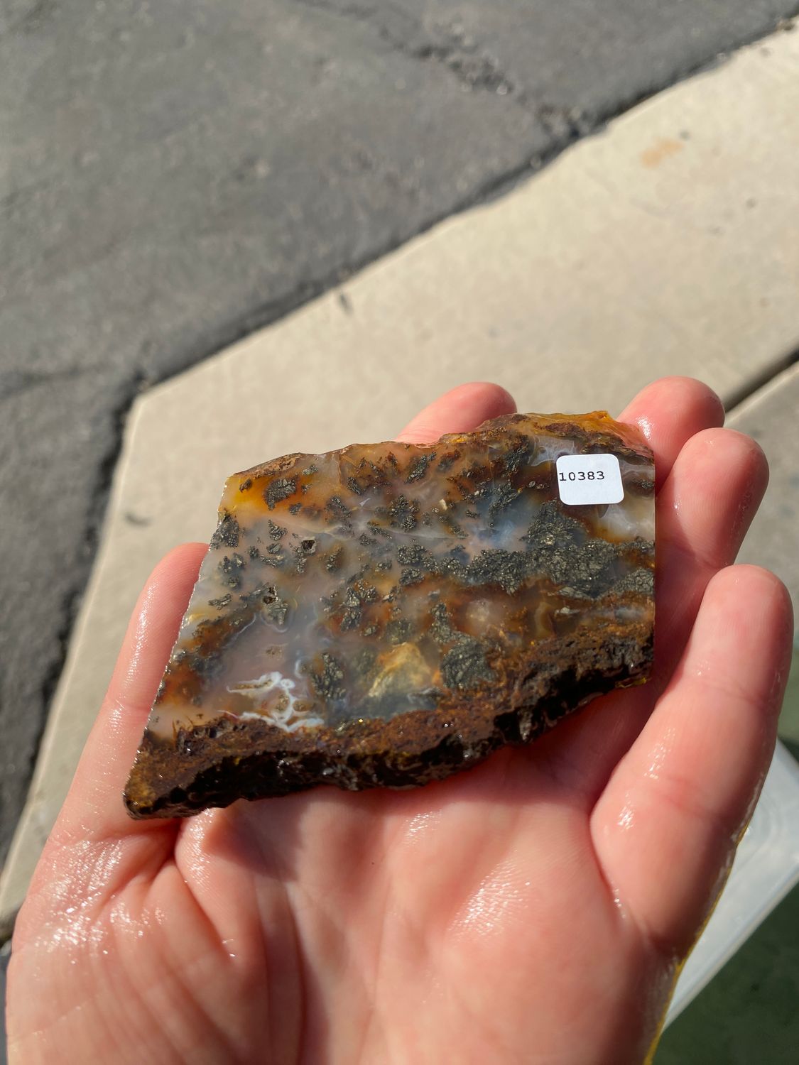 Marcasite Agate Slab